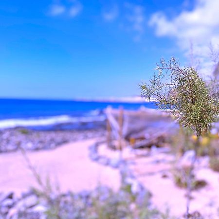 Tropicalidays Las Olas 滨海帕尔姆 外观 照片
